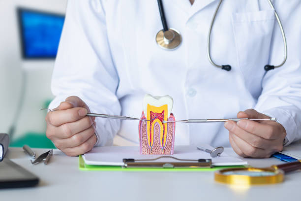 Best Weekend Emergency Dentist in Winnetka, IL